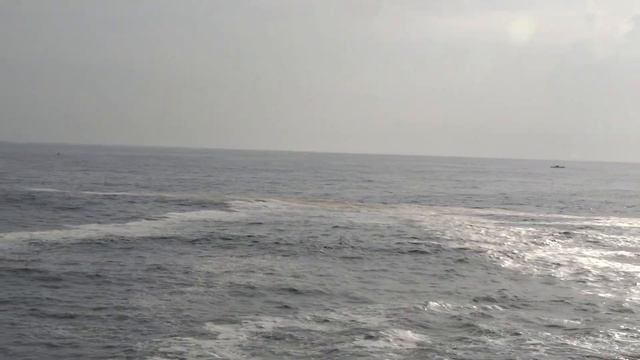 Sony Cybershot DSC-HX400V zooming quality HD VIDEO смотреть онлайн