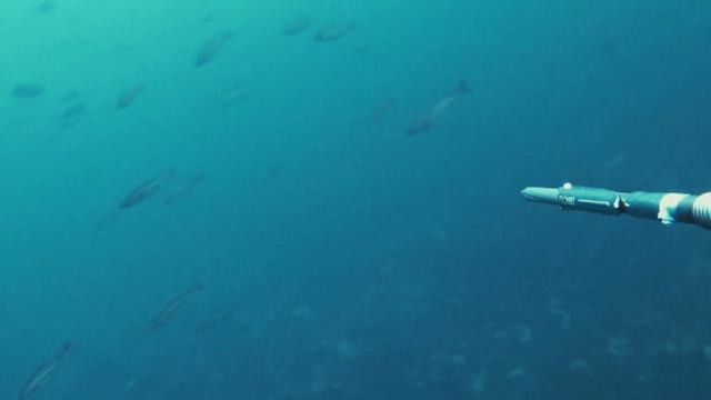 Подводная охота в Норвегии 2021 ! Титран. смотреть онлайн