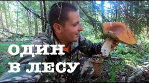 #129. Пополняем грибные запасы. [Жизнь на своей земле]