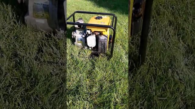 Работа мотопомпы Robin Subaru EY20 PTG 307 смотреть онлайн