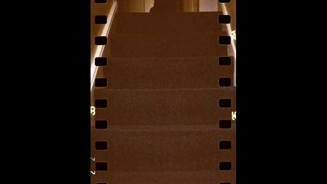 Lomography Lubitel 166+ смотреть онлайн