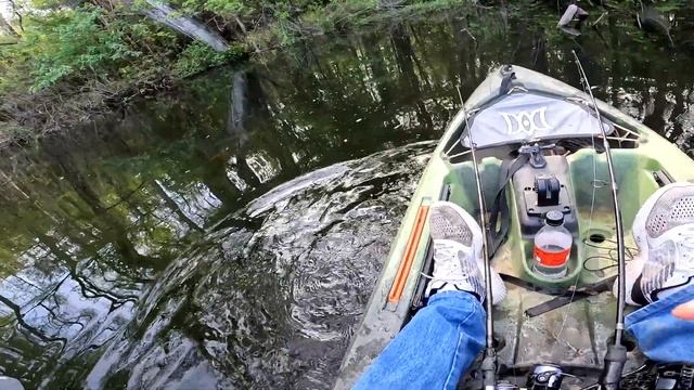 SOLO Camping and Kayak Fishing. смотреть онлайн