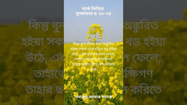 মার্ক লিখিত সুসমাচার ৪: ৩০-৩৪ সরিষা-দানার দৃষ্টান্ত | Mark 4: 30-34 Parable of the Mustard Seed смотреть онлайн