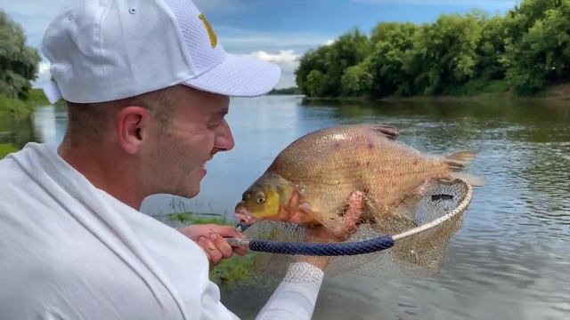 Лещ на ФИДЕР !!! Секретные насадки на леща! Река Днепр и много рыбы. смотреть онлайн