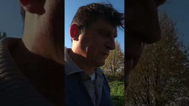 Что бывает, когда дерево упало на сарай смотреть онлайн