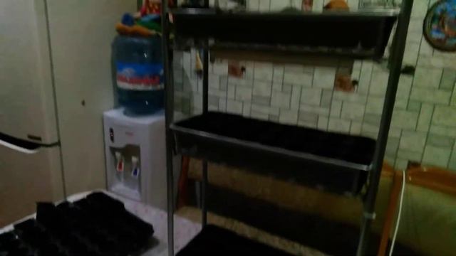 полка для рассады. смотреть онлайн