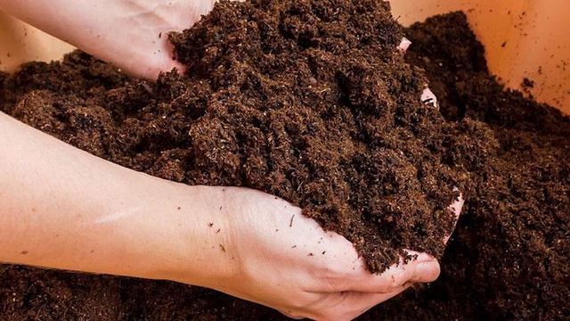 Отравите все! Какие ошибки превращают полезное удобрение во вредное? смотреть онлайн
