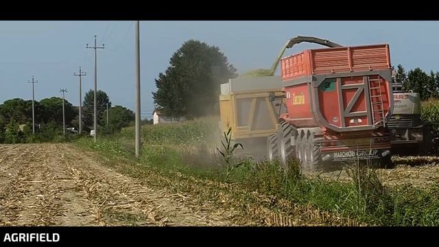 Claas Jaguar 900 + Kemper 460 | Mais Silage ᴴᴰ | Marchiori Group