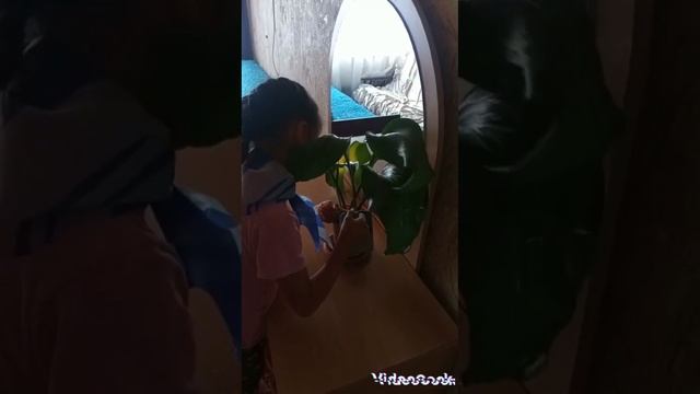 ? #ОрлятаРоссии ♥️ #ОрленокДоброволец ? #РДШ ? смотреть онлайн