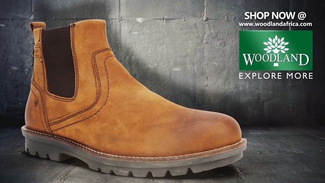 Tarwood - Camel смотреть онлайн