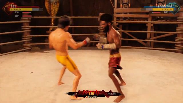 Fight Island: Bruce Lee VS Aljamain Sterling  Fight Simulation UFC 4