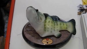 Весёлый карп. Поющая рыба.