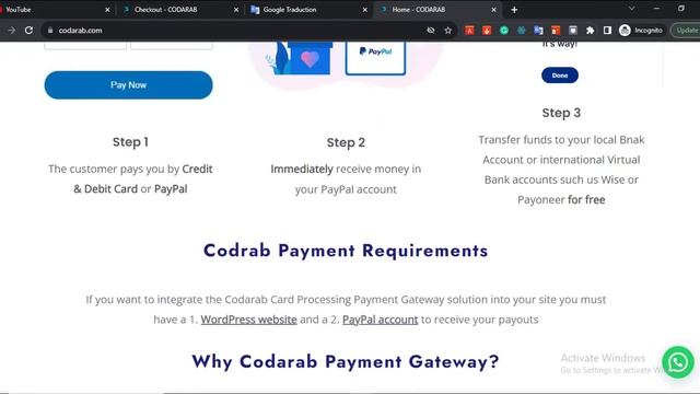 How to Use PayPal Business API Integration Plugin to Accept Payments from International Customers смотреть онлайн