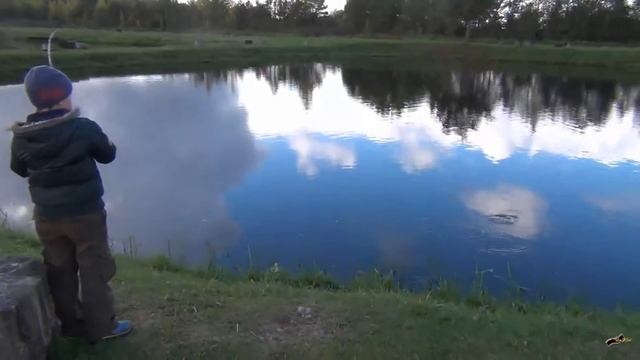 Jackson Kawasemi Rhapsody and fish смотреть онлайн