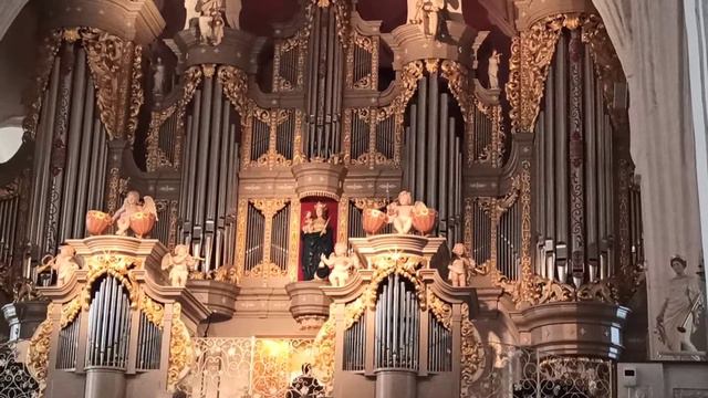 орган в Калининграде смотреть онлайн