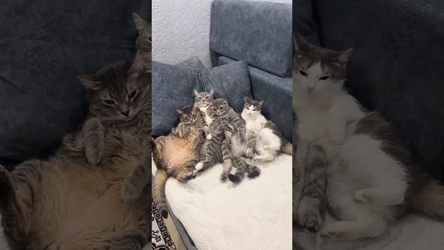 Запомни ты теперь с улицы