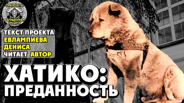Хатико: преданность I текст Евлампиева Дениса читает автор смотреть онлайн