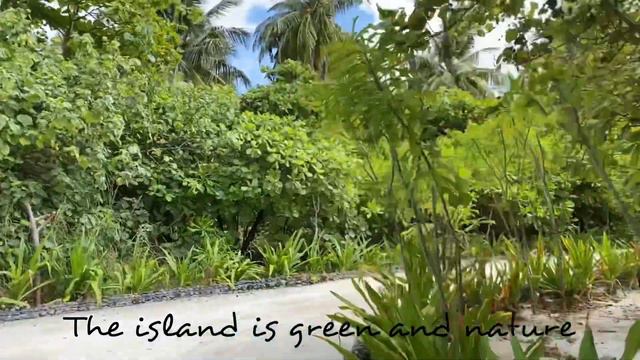 Furaveri Maldives 5* - Hotel Review, April 2021