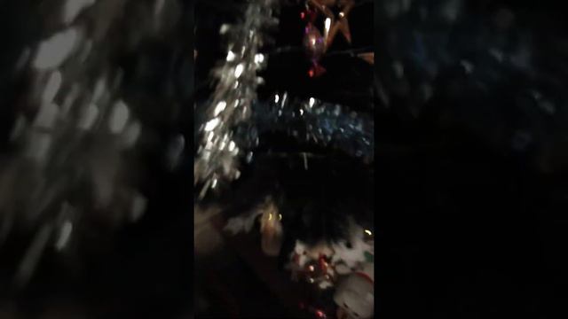 Кеша потерялся/ волнистый попугай ИК Кеша смотреть онлайн