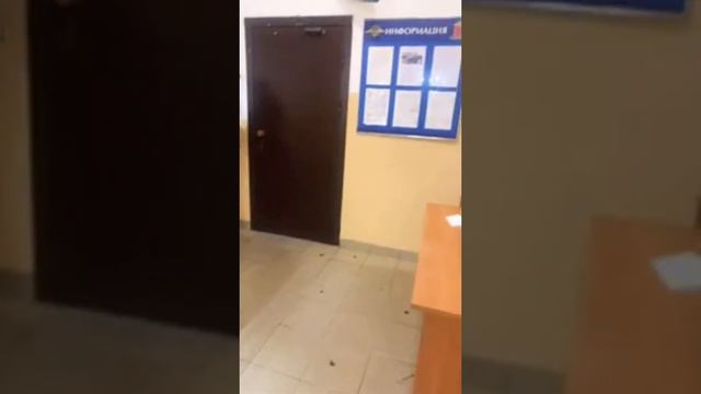 Идём в полицию смотреть онлайн