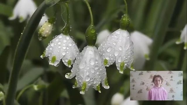 Смешные детские анекдоты, топ 10 детских анегдотов смотреть онлайн