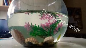 Подмена воды в аквариуме с данио