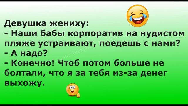 Забежавший на территорию больницы бультерьер... Выпуск 57 смотреть онлайн