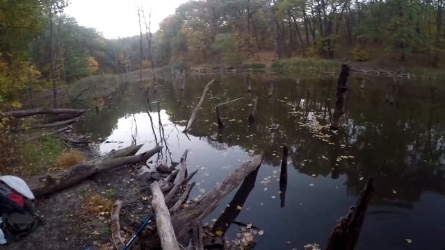 ЛОВЛЯ РАКОВ НА РАКОЛОВКИ! ГДЕ ЛУЧШЕ ПОСТАВИТЬ РАКОЛОВКУ. ТЕСТ РАЗНЫХ ПРИМАНОК. смотреть онлайн