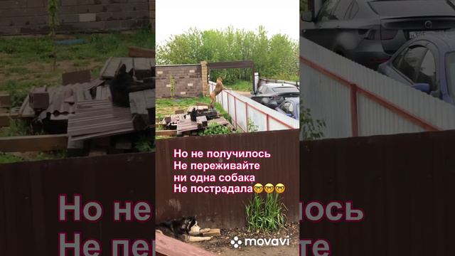 А почему бы нам  не сходить в гости?