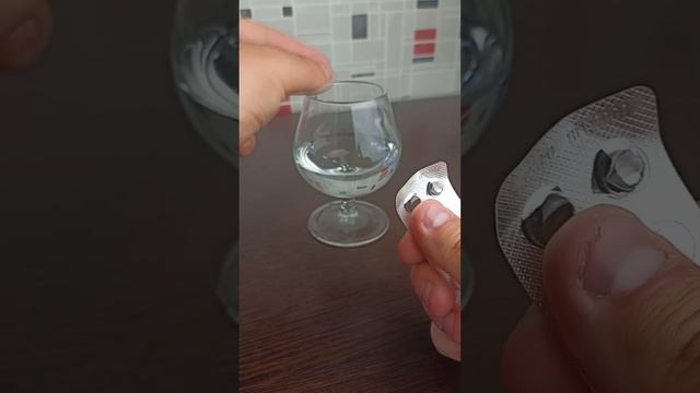 Смешные Собачки и Котики