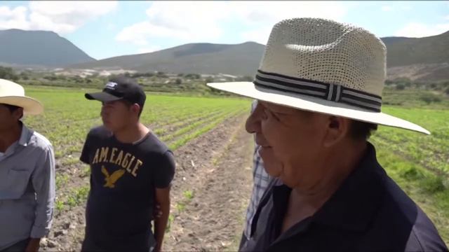 Manuel Martínez González defensor de la tierra смотреть онлайн