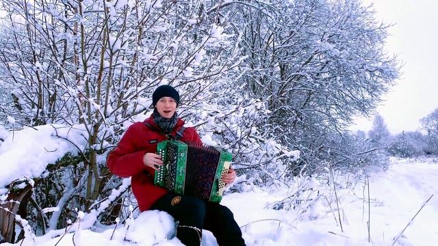 БЕЛЫМ СНЕГОМ || С РОЖДЕСТВОМ || ПЕСНИ ПОД ГАРМОНЬ || ЗИМНЯЯ СКАЗКА || СНЕГ ПОД ГАРМОНЬ