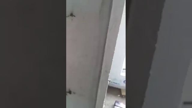 Гипсовые маяки