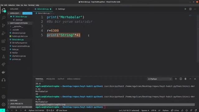HOYT-HUBIT Python 17:30 Dersi - Ders 2 Part 1 смотреть онлайн
