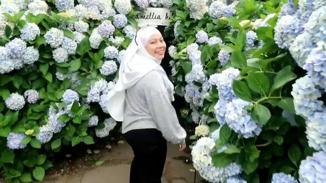 Day 4 - Jeju Island, South Korea (Camellia hills Hydrangea & Hallasan Mountain) смотреть онлайн