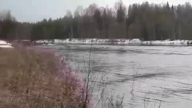 Отзыв покупателя Сивуч 315 (май 2019, Респу́блика Ко́ми) смотреть онлайн