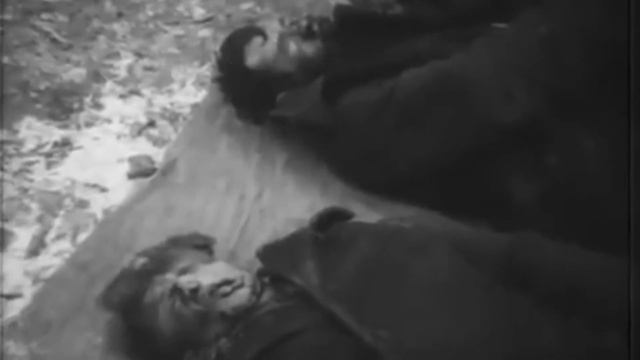 О чем покаялся Российский школьник в бундестаге? смотреть онлайн