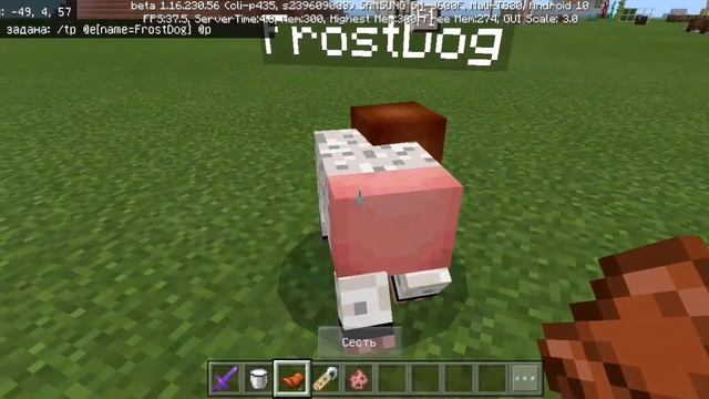 Топ 5 крутых команд для командного блока в майнкрафт бедрок | майнкрафт. смотреть онлайн