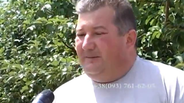 406 Садоводы приступили к сбору вишни