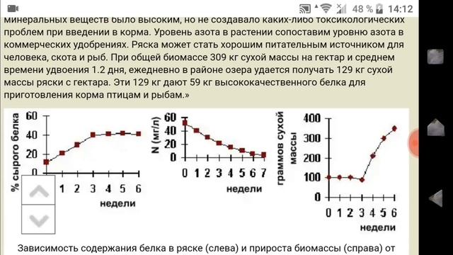 Ряска - лучший корм для птицы, еду добывать. смотреть онлайн