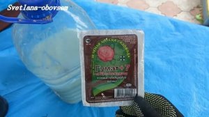 КАК ПРАВИЛЬНО РАСТВОРИТЬ-  ГУМАТ..  ПОДКОРМКА И ОБРАБОТКА ГУМАТОМ