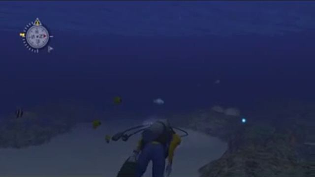Let's Play Endless Ocean, Episode 09: Sea Slug Carnivale смотреть онлайн
