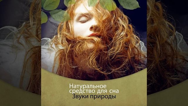 Засыпаю смотреть онлайн