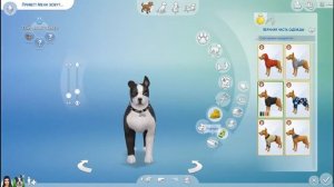 Sims 4 КОШКИ И СОБАКИ |создаем питомцев для Lets Play!