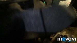 Балка газель на соболь.