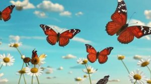 Доброго дня - хорошего настроения - открытки