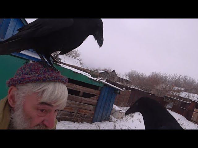 Про первоисточник всех наук. смотреть онлайн