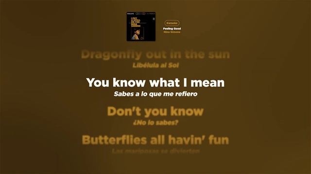 Nina Simone - Feeling Good - Karaoke смотреть онлайн