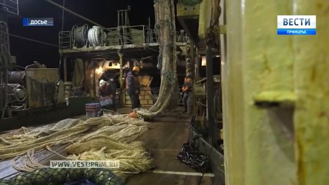 Дальневосточные ученые готовятся к новой антарктической экспедиции смотреть онлайн