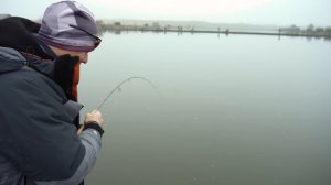 СЕКРЕТЫ ЛОВЛИ ФОРЕЛИ на резину! НАШИ НАРАБОТКИ за сезон! Отличное закрытие, КУЧА ПОКЛЕВОК!